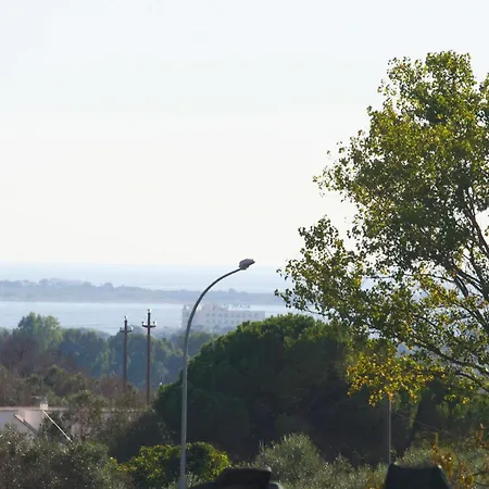 Via Gallipoli Alezio